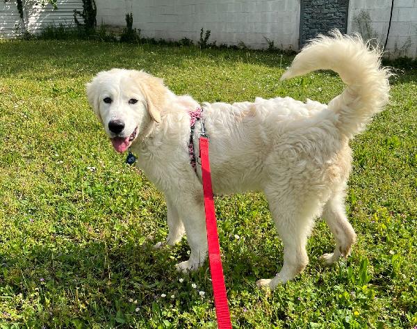 LELLA DELIZIOSA MAREMMANINA Foto 2